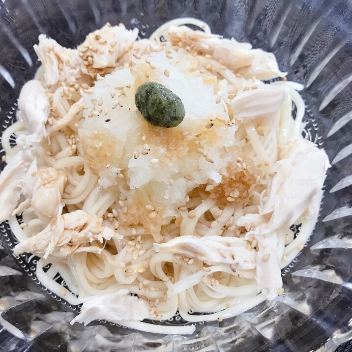 ささみのおろしそうどん